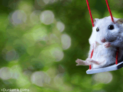 mouse swing