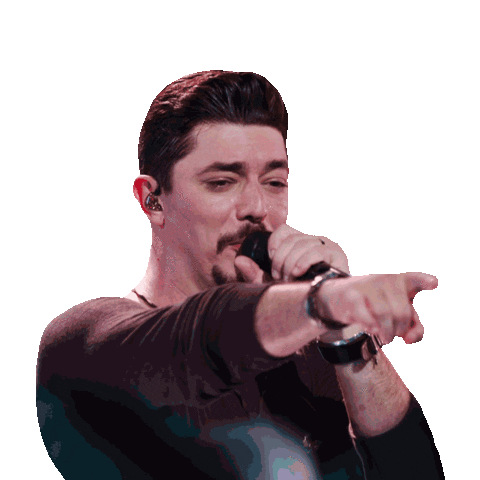 Georgehenriqueerodrigo Segueoplano Sticker