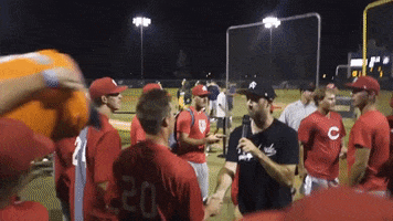 Area Code Baseball GIF