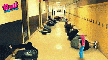 lol gif studying GIF by Trolli