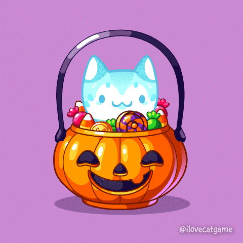 Trick Or Treat Cat GIF by Mino Games