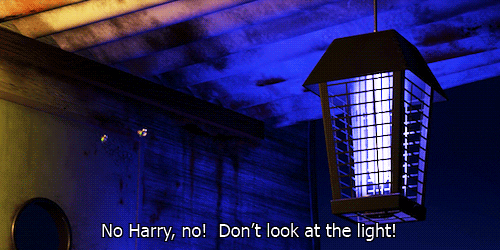 Image result for bug zapper gif