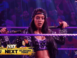 Wwe Rock GIF