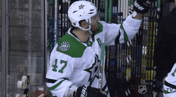 gesturing ice hockey GIF by NHL