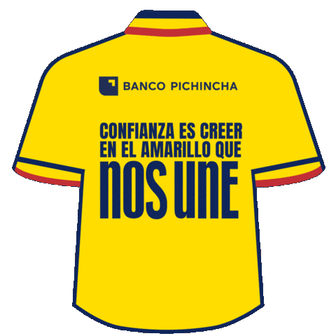 Ecuador Visa Sticker by Banco Pichincha