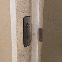 Indigenous Peoples' Day