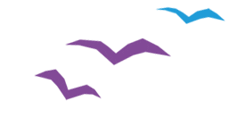 DiakonieSachsen Sticker