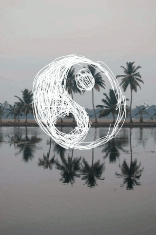 yin yang paradise GIF
