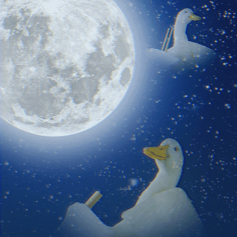 Summer Floating GIF by Aflac Duck