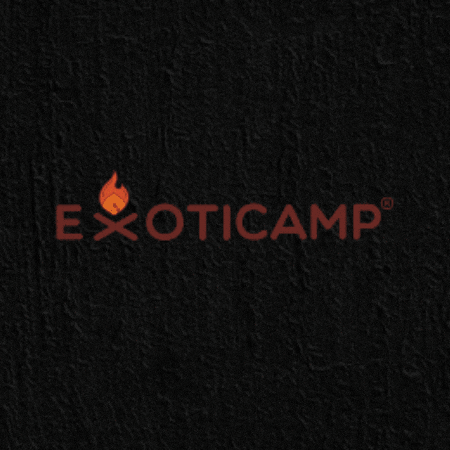 GIF by Exoticamp