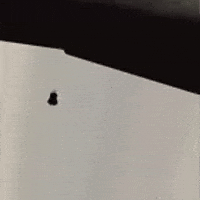Swimming GIF