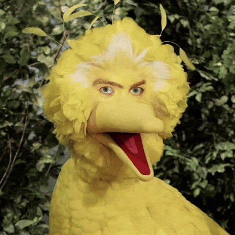 Sesame Street Eyes GIF