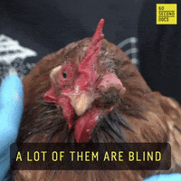 Eyes See GIF by 60 Second Docs