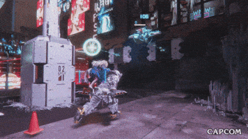 Video Game Fighting GIF by CAPCOM
