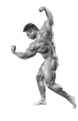 Gaspari Nutrition Sticker