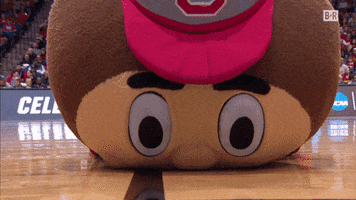 Osu Tell Me More GIF by Bleacher Report