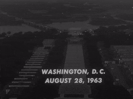March On Washington Protest GIF by GIPHY News