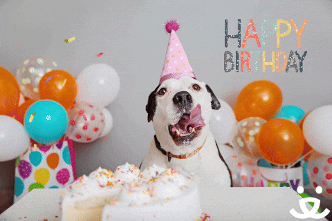 Celebrate Happy Birthday Gif By Best Friends Animal Society Find Share On Giphy