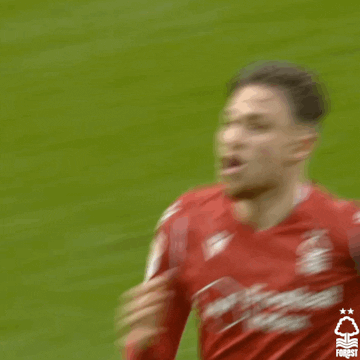 Football Kiss GIF by Nottingham Forest