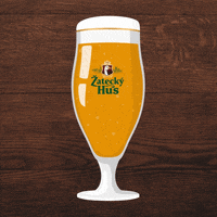 Beer Toast GIF by Zatecky Hus