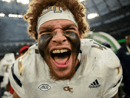 Georgia Tech Football GIF