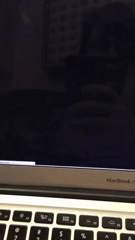 Ld43 GIF