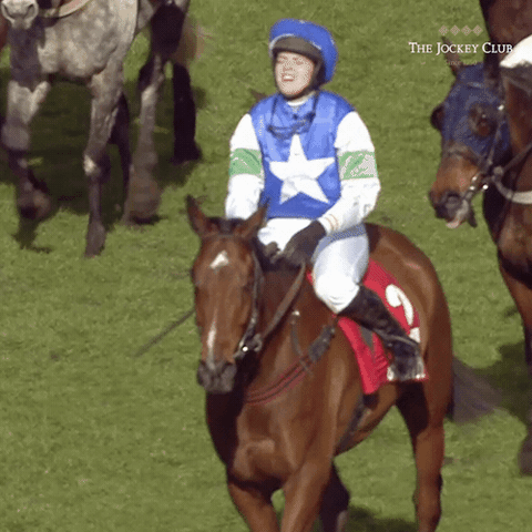 cant believe it horse racing GIF by The Jockey Club