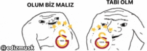 Galatasaray Fb GIF
