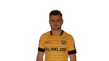 SG Dynamo Dresden Sticker
