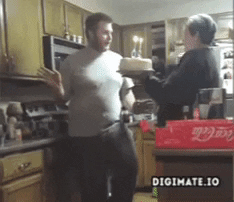 Cake Throw GIFs - Get the best GIF on GIPHY