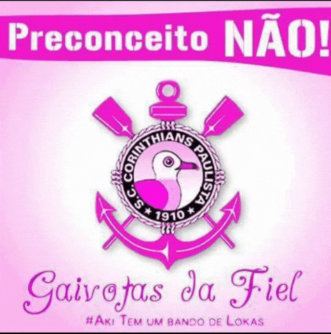 Copa Do Brasil Gay GIF