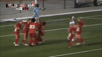 soccer goal GIF by SIUE Cougars