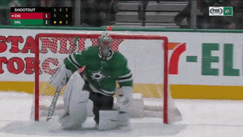 Excited Dallas Stars GIF by FOX Sports Southwest