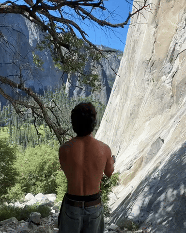 Davidbarnez GIF
