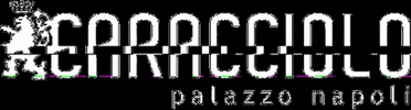 Amit Shlomo Studio GIF