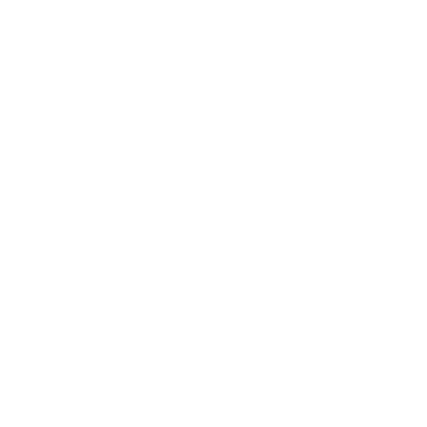 PIALES Sticker