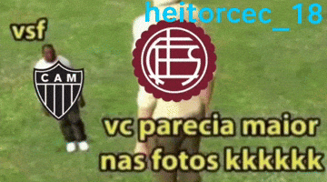 Cruzeiro Sulamericana GIF