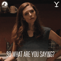 Say What Paramount Network GIF by Yellowstone