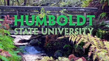 Humboldt State University Forest GIF by HumboldtState