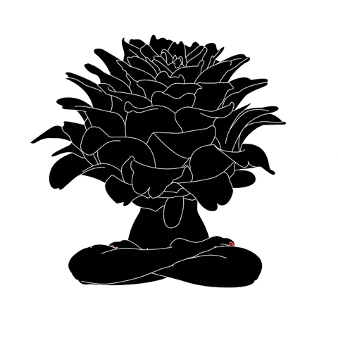 xavieralopez art animation illustration flower GIF