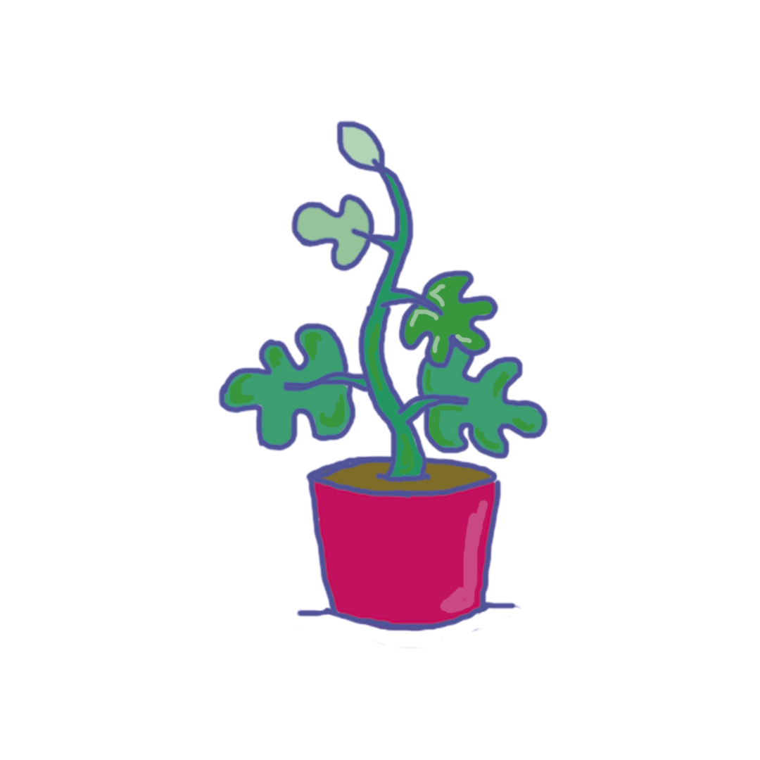 Flower Plant GIF by Latitude Jeunes - Find & Share on GIPHY