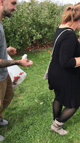 Proposal GIF - Find & Share on GIPHY