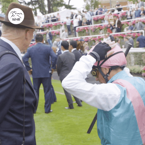Enable Horse GIF by World Horse Racing