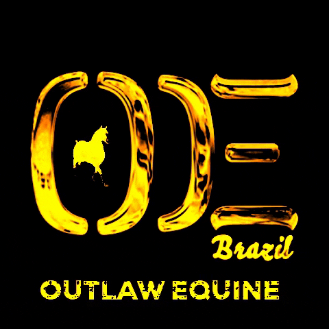 OUTLAWEQUINEVET oe outlaw equine GIF
