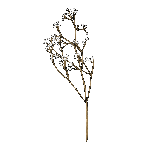 Flower Sticker