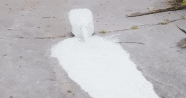 Cat Milk GIF by Levitation Room