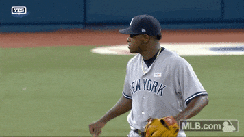 new york yankees glove punch GIF by MLB