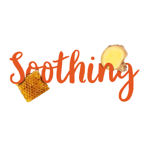 TapalGreenTea Sticker