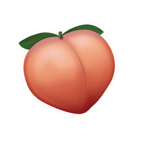 ZwagFit Sticker