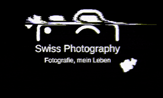 Swiss-Photography photography camera swiss fotografie GIF